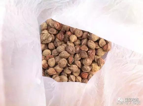 如何快速盘小桃核,小桃核怎么盘