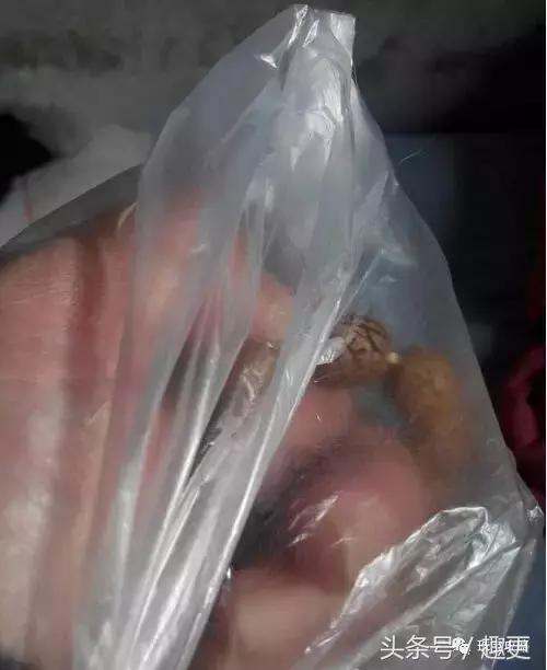 如何快速盘小桃核,小桃核怎么盘