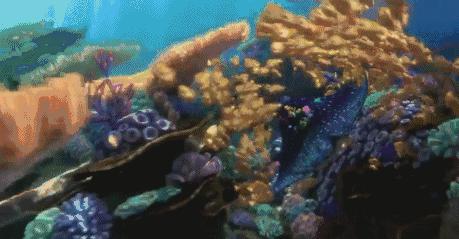 一个让人看了就想脱衣服的海岛，还能与漫天萤火虫共舞……