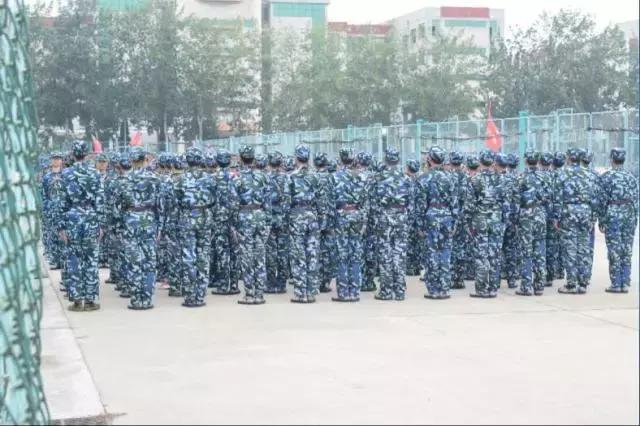 鍐涜惀宀佹湀閲庤惀璁粌瑙嗛,閮ㄩ槦杩峰僵鐢熸椿瑙嗛