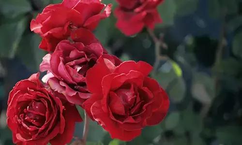 懒人必备的福利,懒人的超级福利