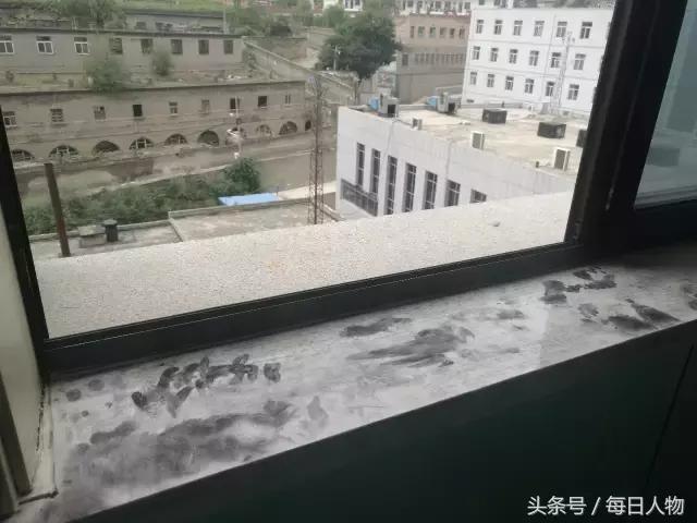 无痛分娩为何普及率不高,现在无痛分娩普遍吗