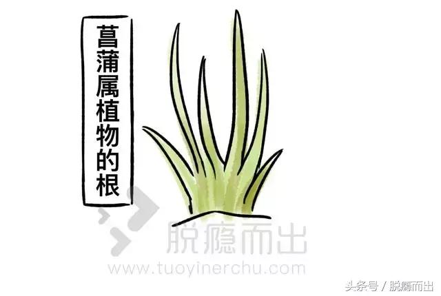 药品如何沦为毒品,药品商业化内幕