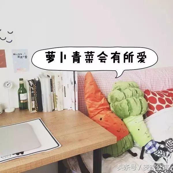 单身独居女生租房布置,独居租房布置