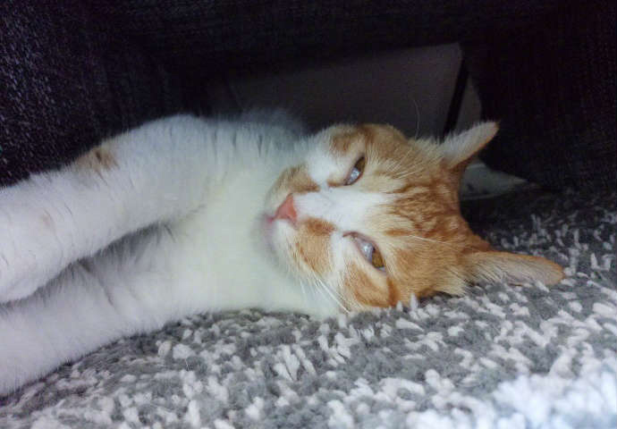 段子十则第十六期,段子十则第四十六期