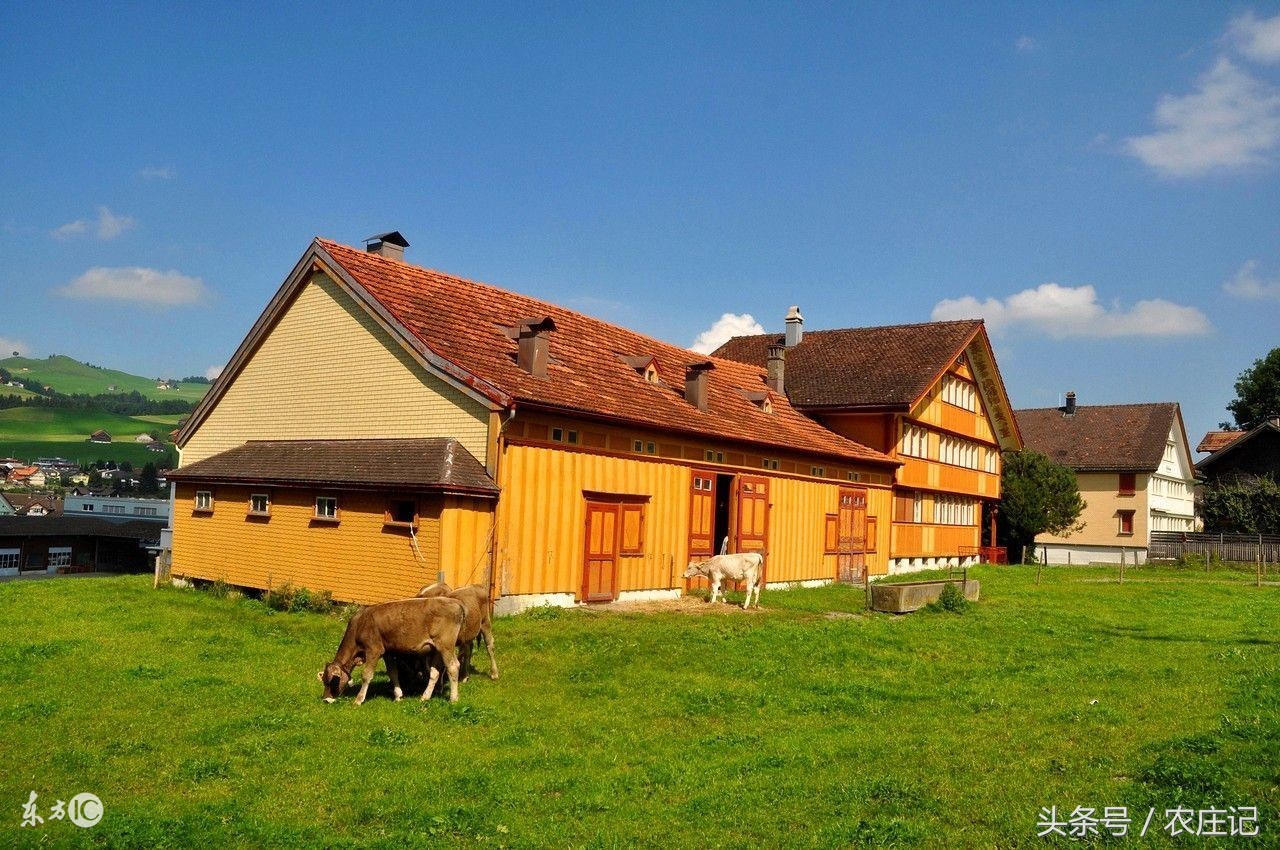 南京浦口农村一日游农家乐,南京浦口机场附近的农家乐