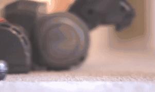 小苏打养花妙用可以用于多肉吗,免洗消毒液可以养花吗