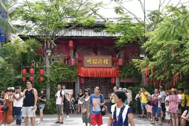 小女孩的三亚游,三亚合适小朋友玩的景区