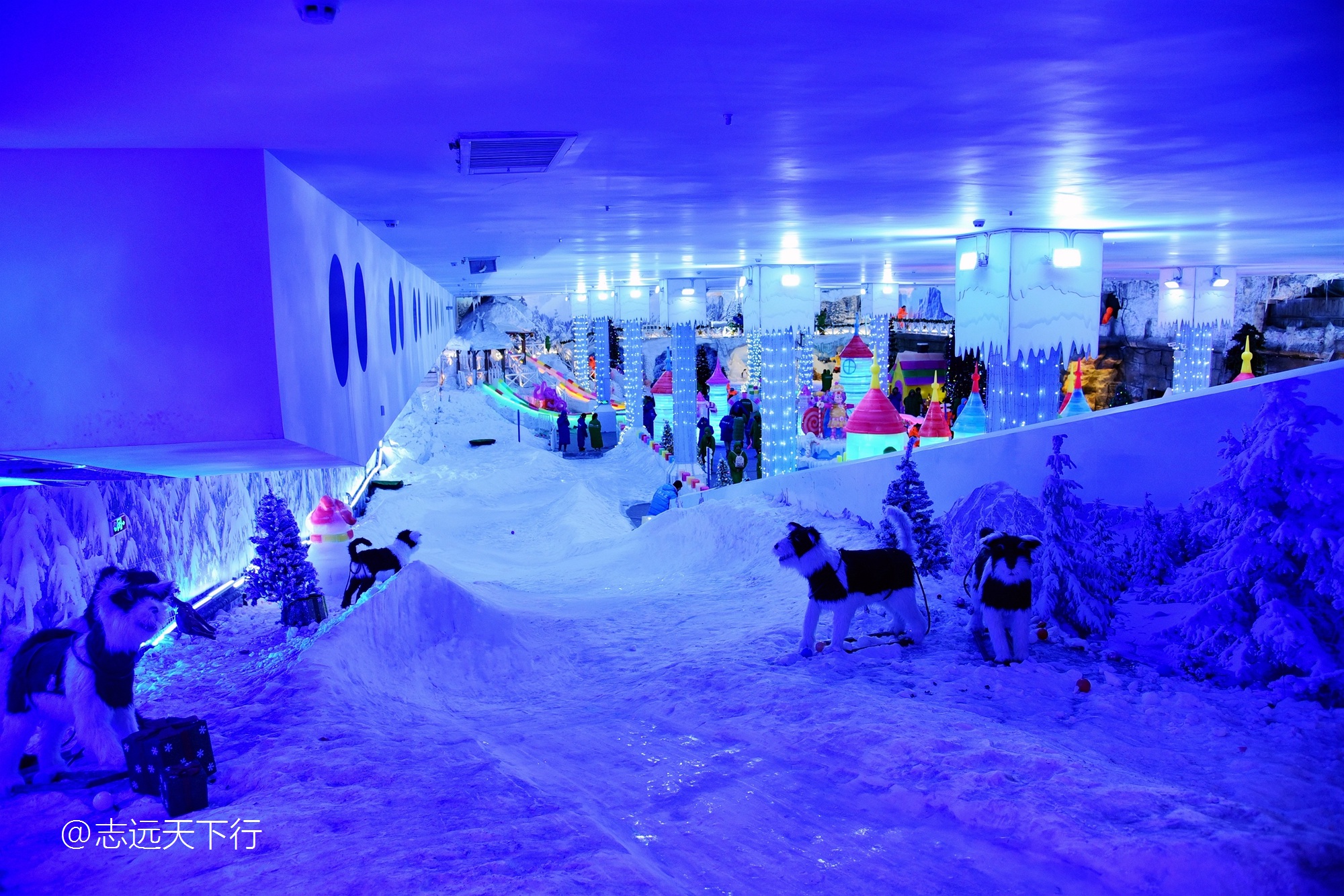 小女孩的三亚游,三亚合适小朋友玩的景区