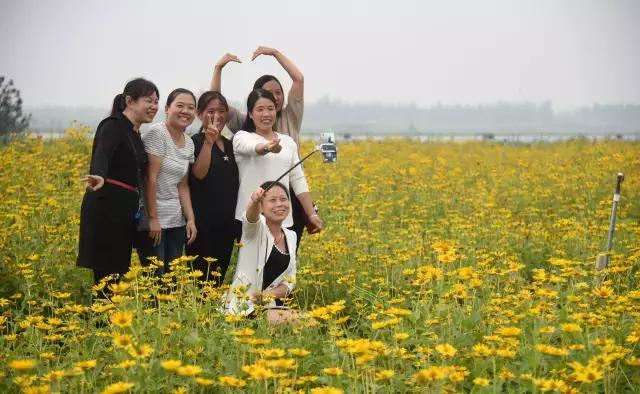 女白领醉酒后回家,28岁女孩深夜醉酒