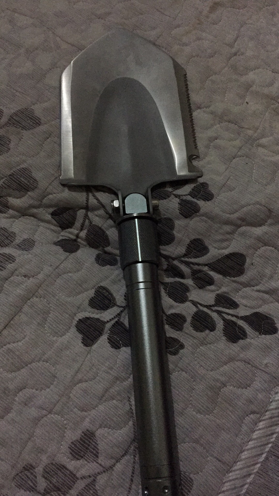 做盆景挖树桩什么时间好,挖树桩什么时候做盆景好