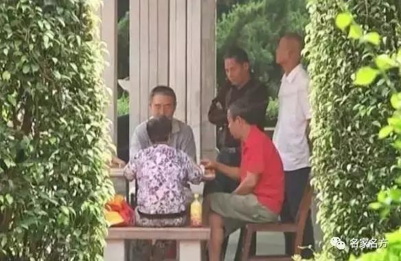 你的骨头正在泡沫化!知名康复专家:一颗洋葱就能帮你找回骨本