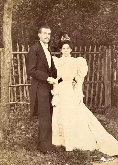 为什么这么多网红戴四叶草,被网红毁掉的植物