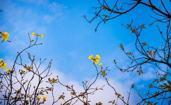 怎样跟重要客户邀约,一直邀约不过来的客户怎么邀约