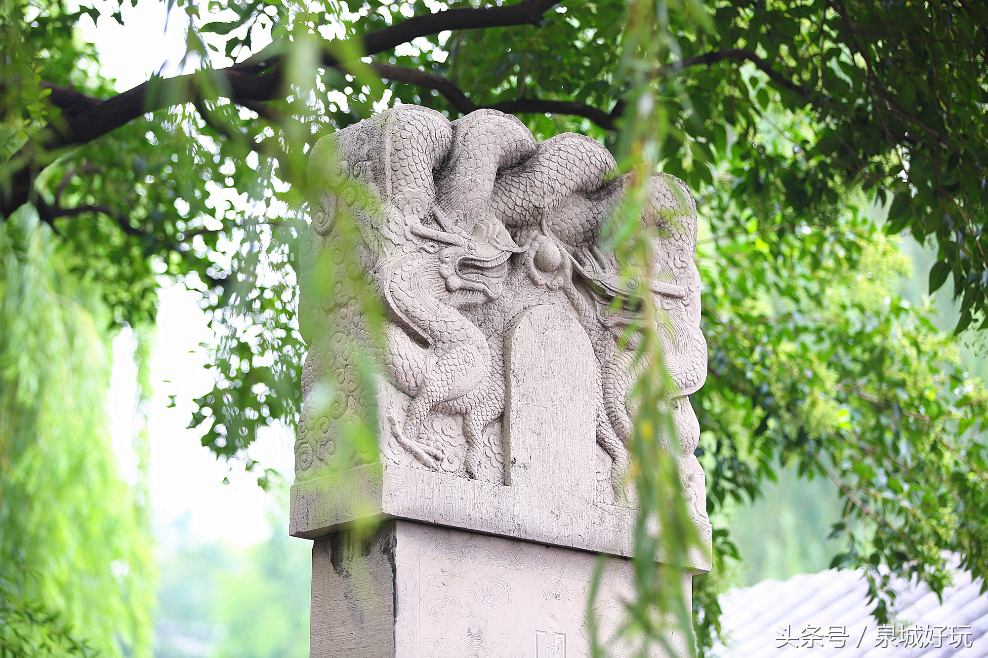 济南教师医护人员免费玩的景点,济南学生可以免费进入的景区