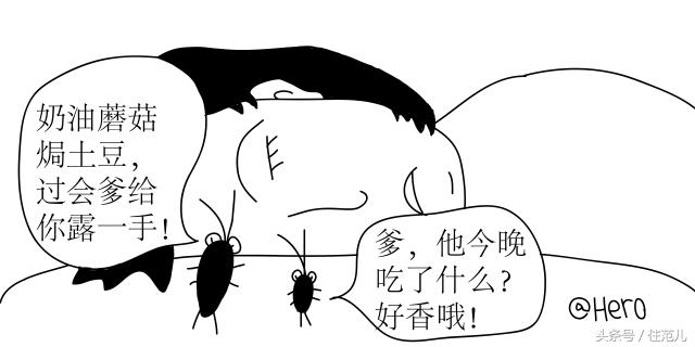 家里有蟑螂教你一招让蟑螂去无踪,蟑螂最怕这3招