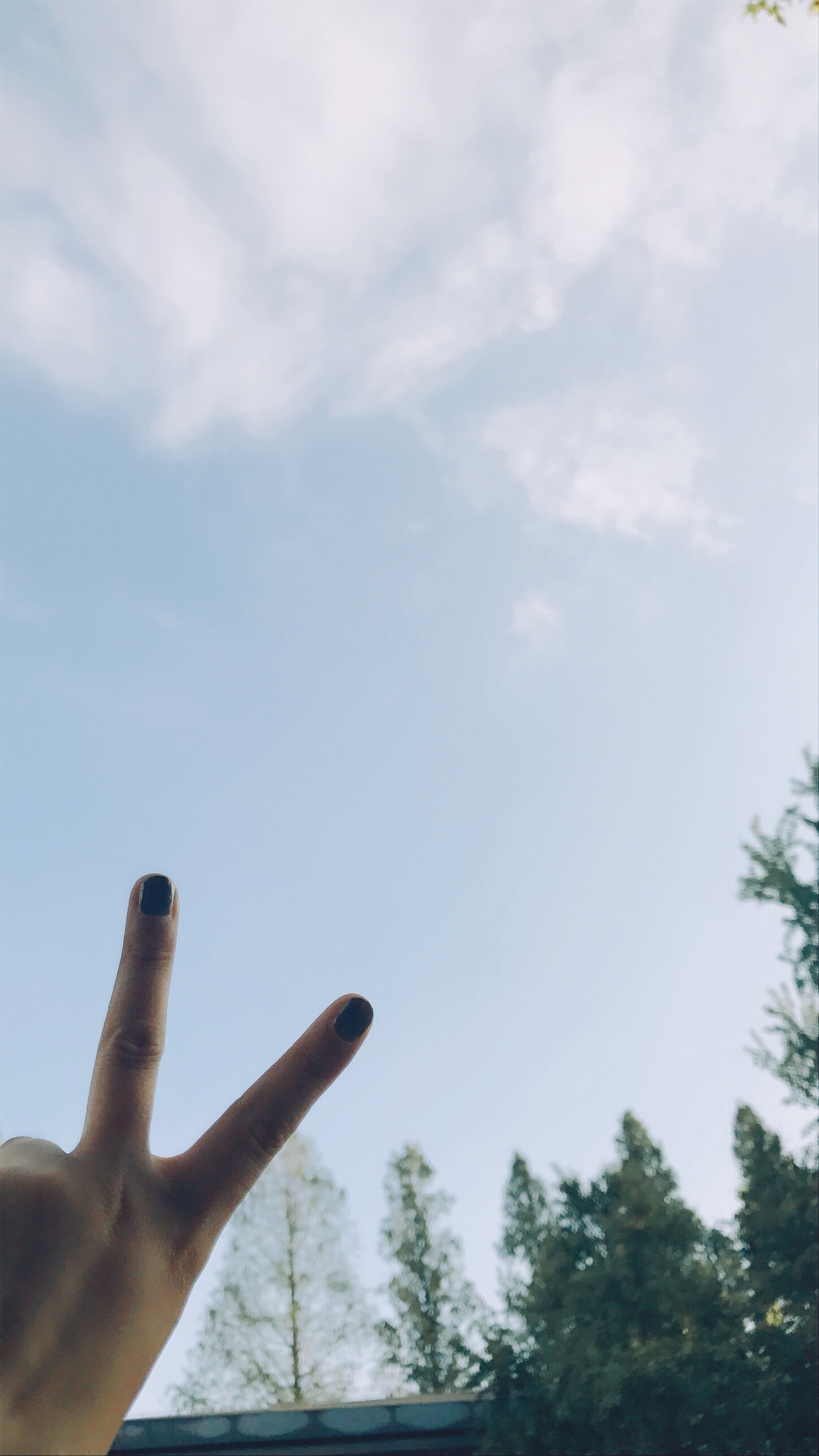 怎样过才算是完美人生,怎样才算过好自己的生活