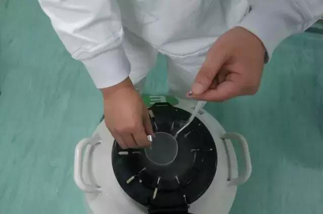 太神奇！生殖医学博士揭秘试管婴儿全过程！