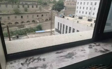 孕产网友理智解读，有问题的是谁