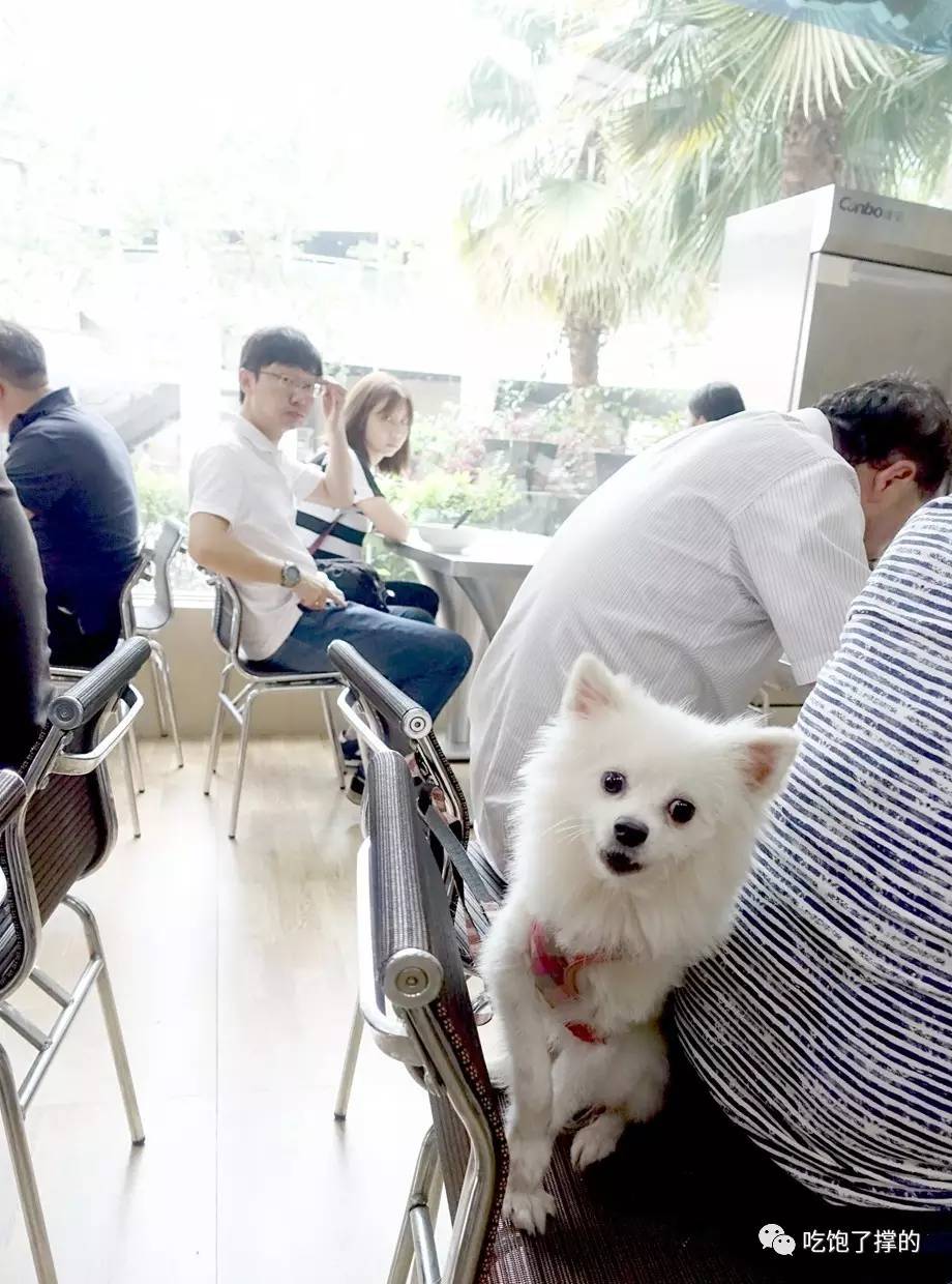 地球首家双立人铁锅米线,让人心安理得地荒废一个下午