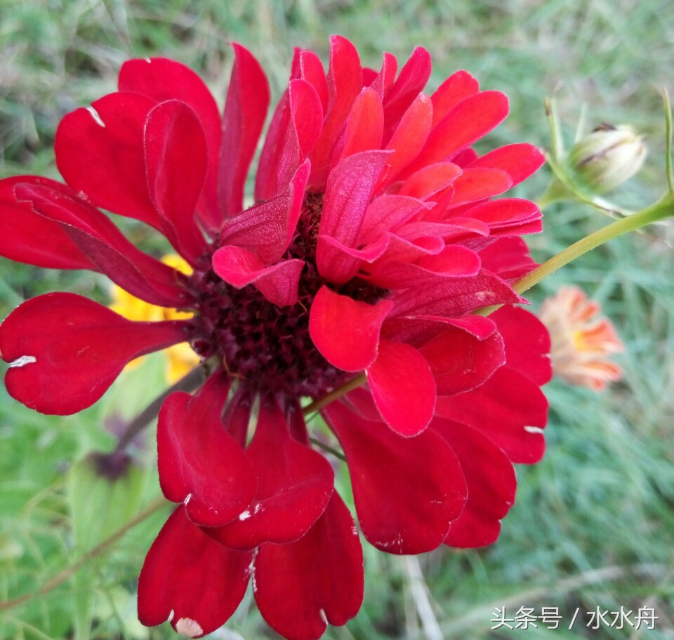 有一个很娘的老公,有娘的老公是什么感觉