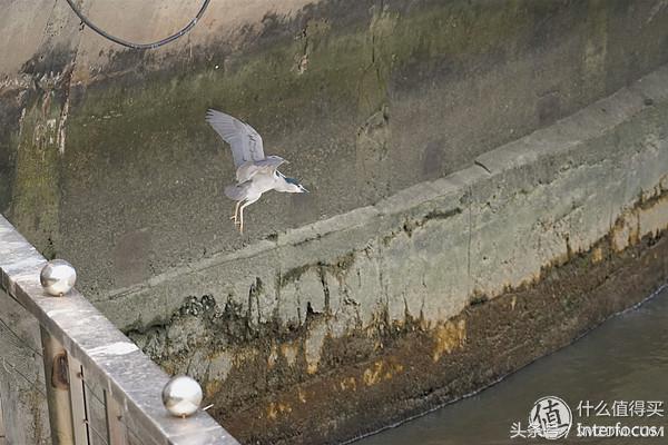 新手入坑摄影相机推荐,新手入坑摄影相机推荐学生