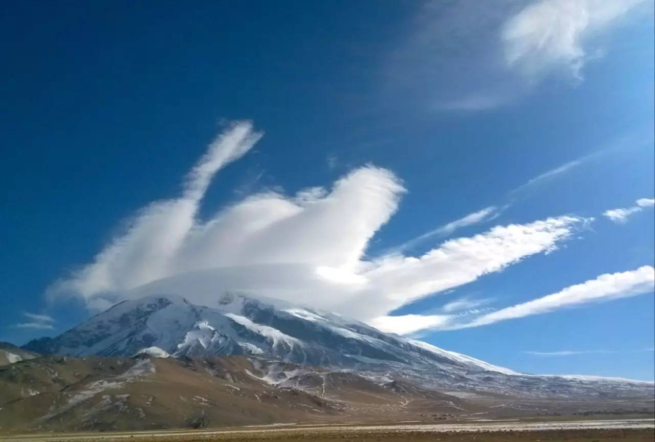 半年赚4675万河北药品零售连锁企业唐人医药拟摘牌