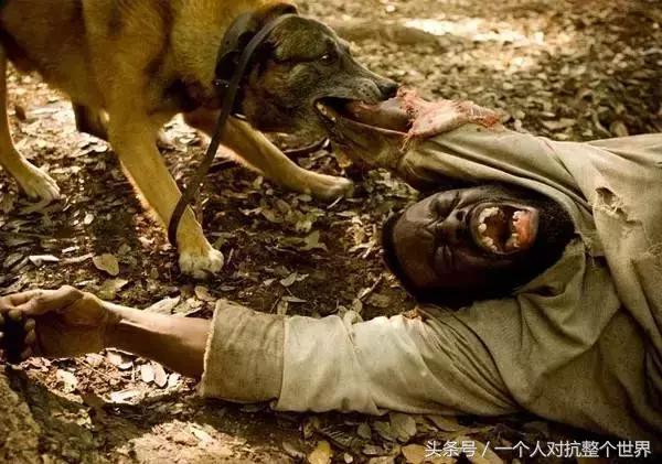 安利最好看的三部电影,推荐十部口碑好到让人尖叫的电影