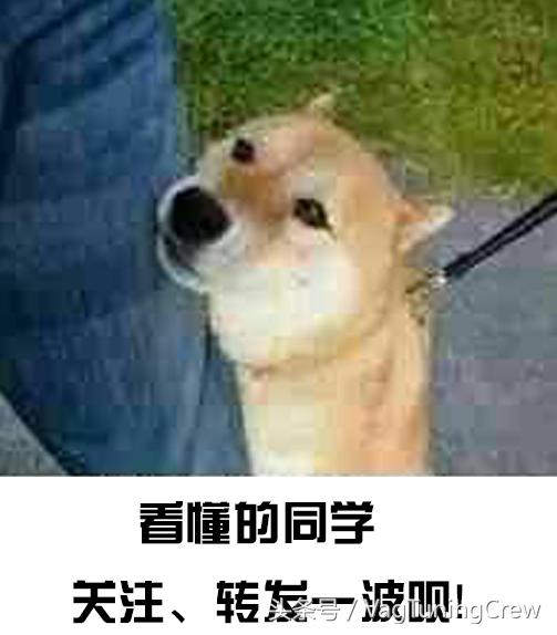 一体式避震器的缺点,有比原厂更好舒适性的避震器吗