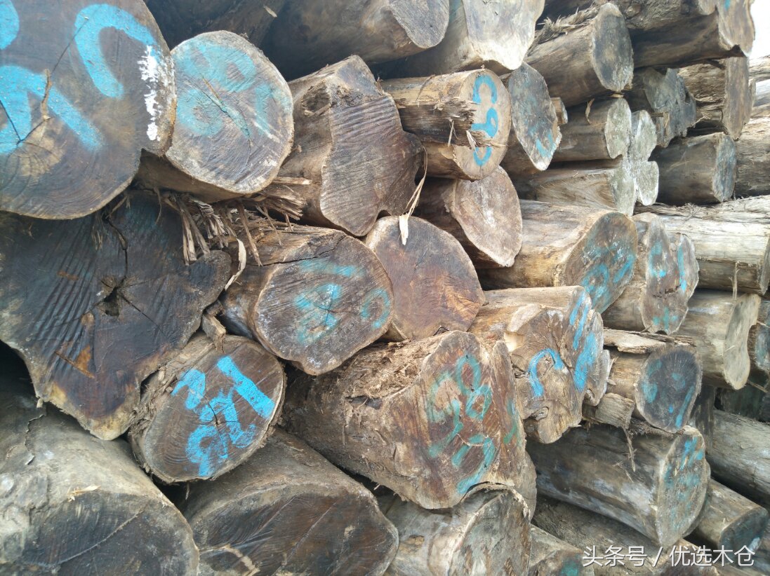 美洲胡桃木和红木家具,木材南美柚木