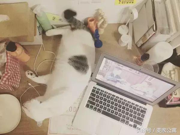 单身独居女生租房布置,独居租房布置