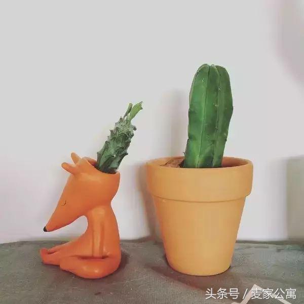 单身独居女生租房布置,独居租房布置