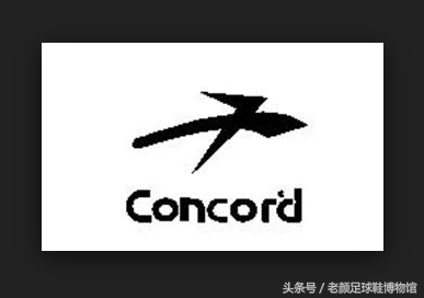 专业的足球鞋有哪几个品牌,曾经的足球鞋知名品牌有哪些