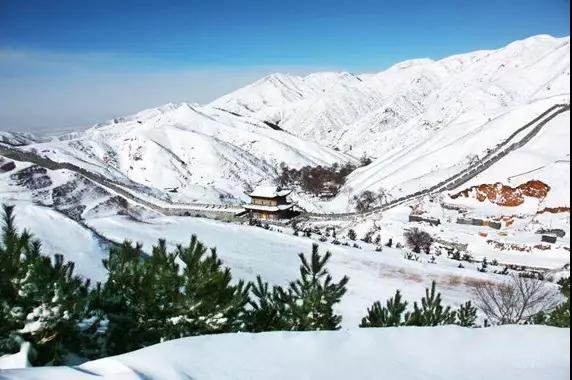 为战争而生的将军,为战争而生的军队秦国