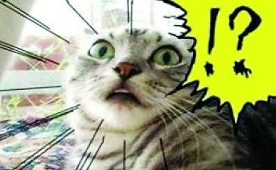 石家庄99%人的上班状态,最后一个说到心坎里了!