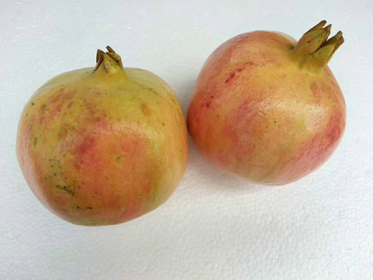 世上最大的软籽石榴,世界上有不用吐籽的石榴吗