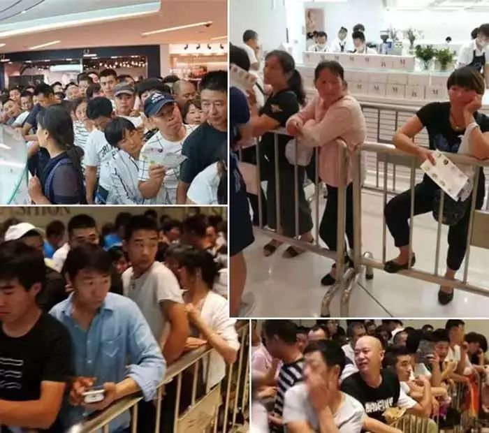 为什么ladym蛋糕这么贵,ladym蛋糕为什么推出国内