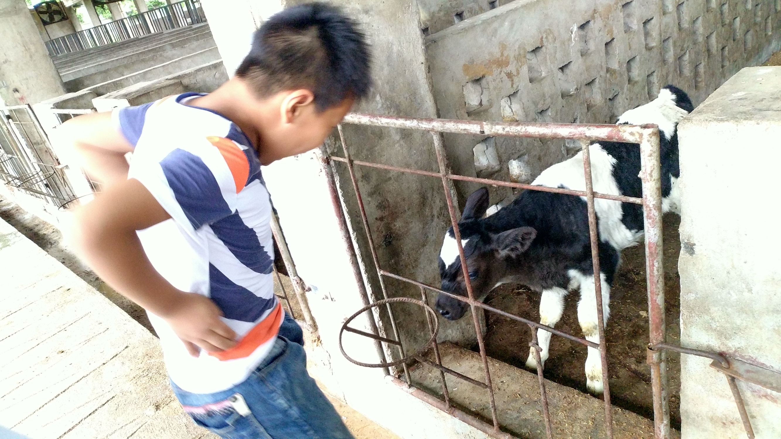 知道我用过“百度一下”和“我本楚狂人”两个网名的人都老了