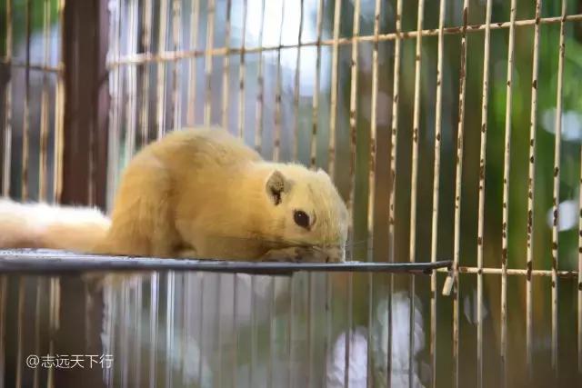 小女孩的三亚游,三亚合适小朋友玩的景区