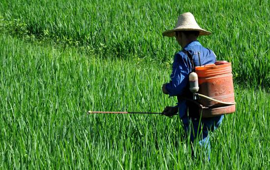 草甘膦板块前景分析,草甘膦概念股全线走强