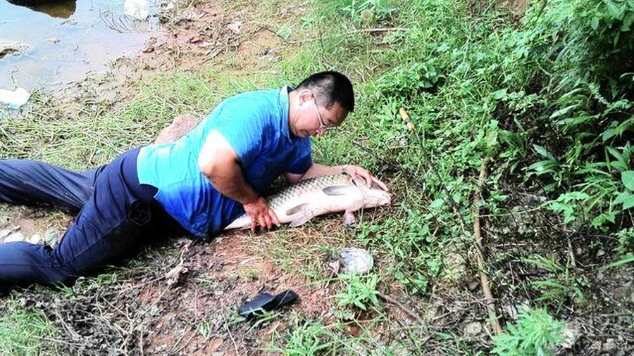 打窝的绝招,打窝钓鱼的手段