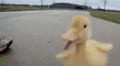 新鞋脚后跟磨脚最好的小窍门,新鞋小脚趾部位磨脚怎么办