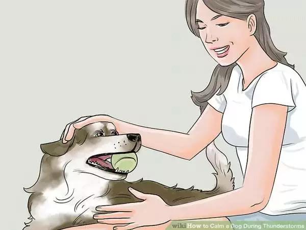 狗狗怕打雷怎么处理,怎样能克服狗狗怕打雷呢