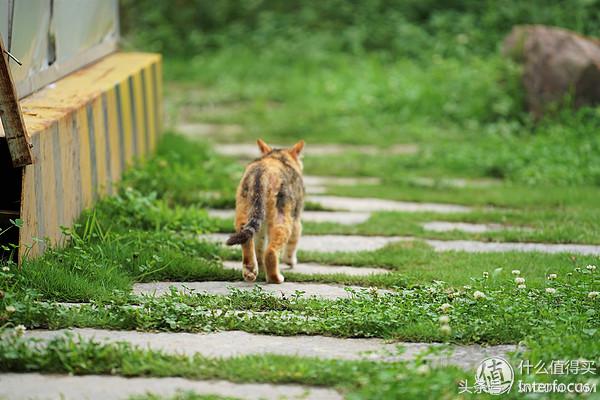 新手入坑摄影相机推荐,新手入坑摄影相机推荐学生