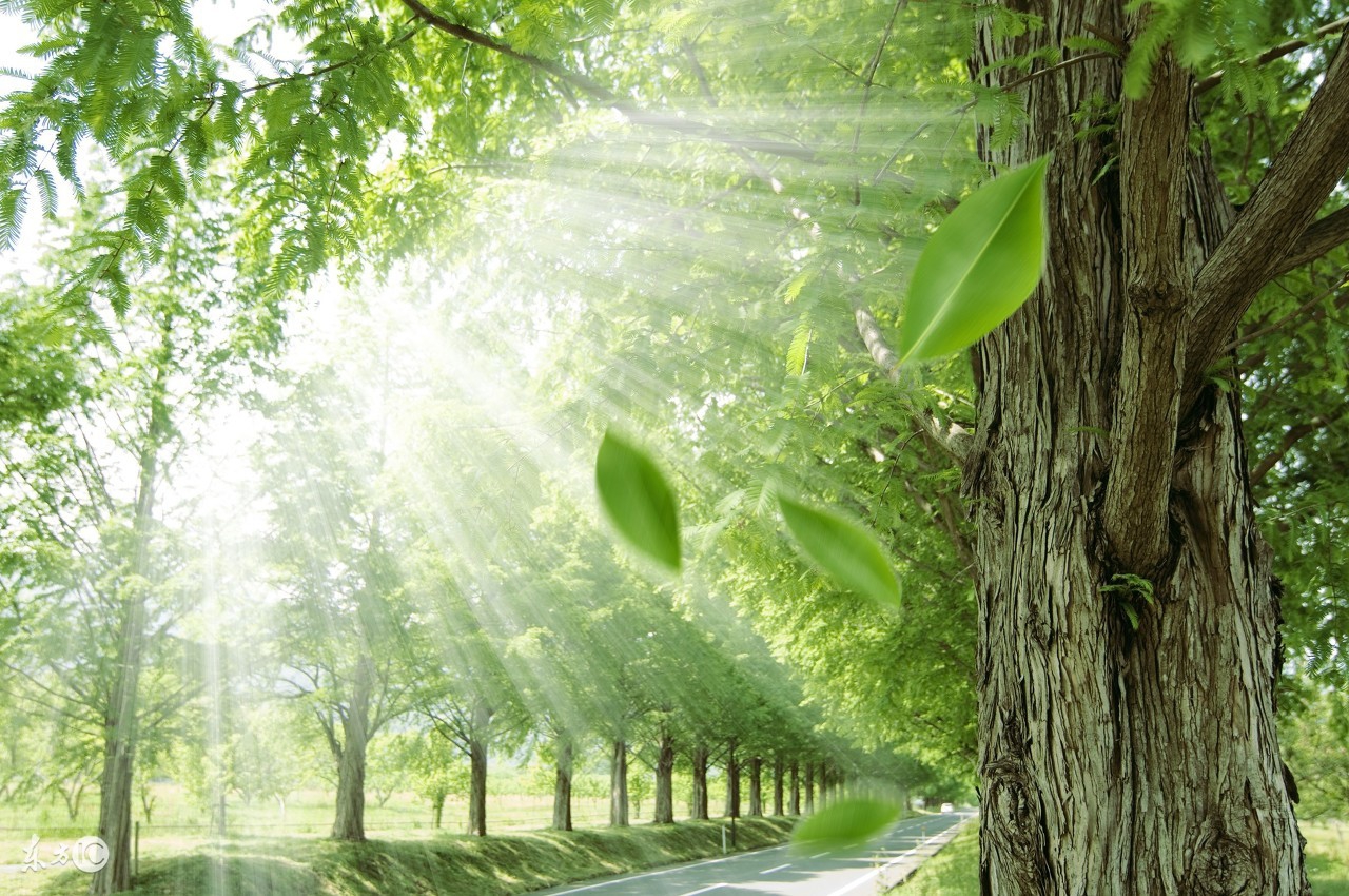 关于成功创业的十大秘诀,成功致富的十个秘诀