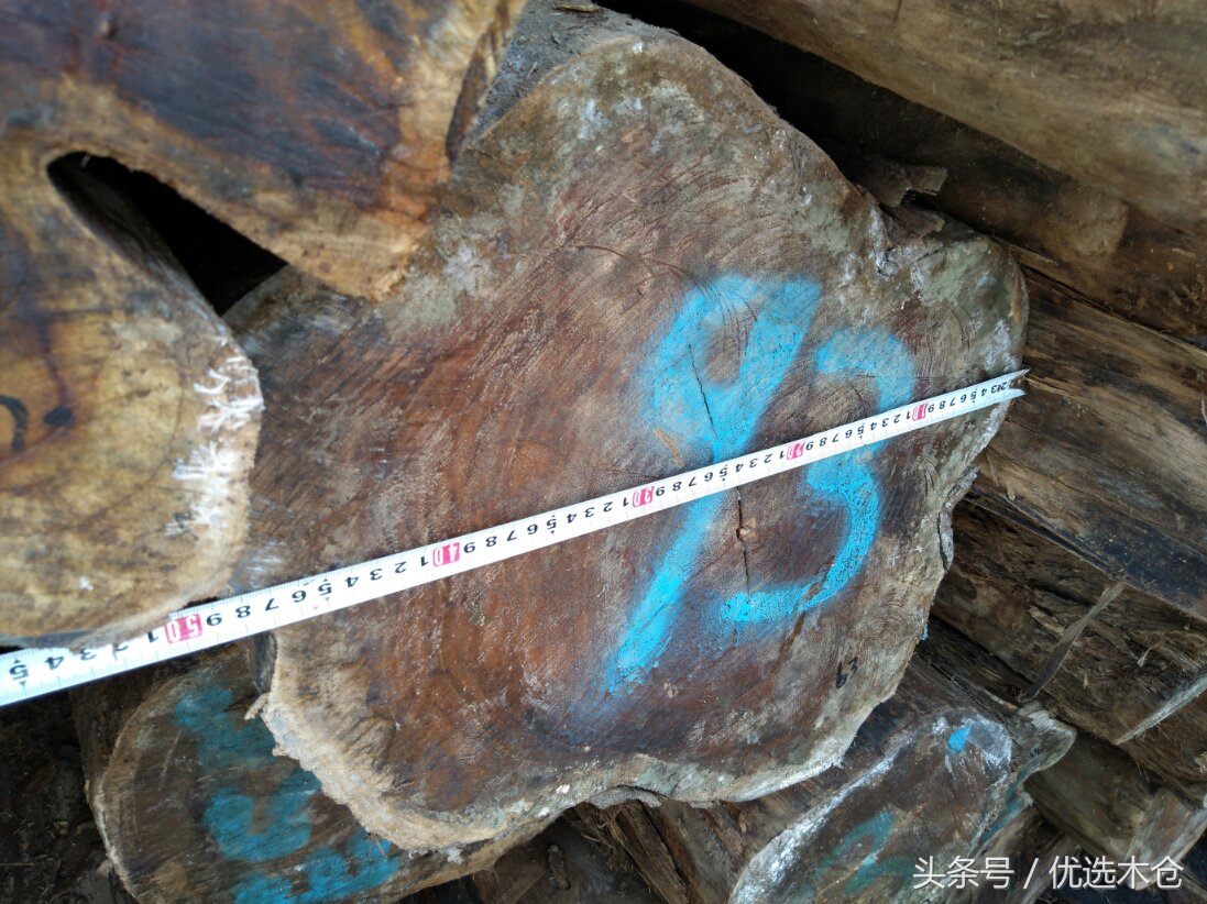 美洲胡桃木和红木家具,木材南美柚木