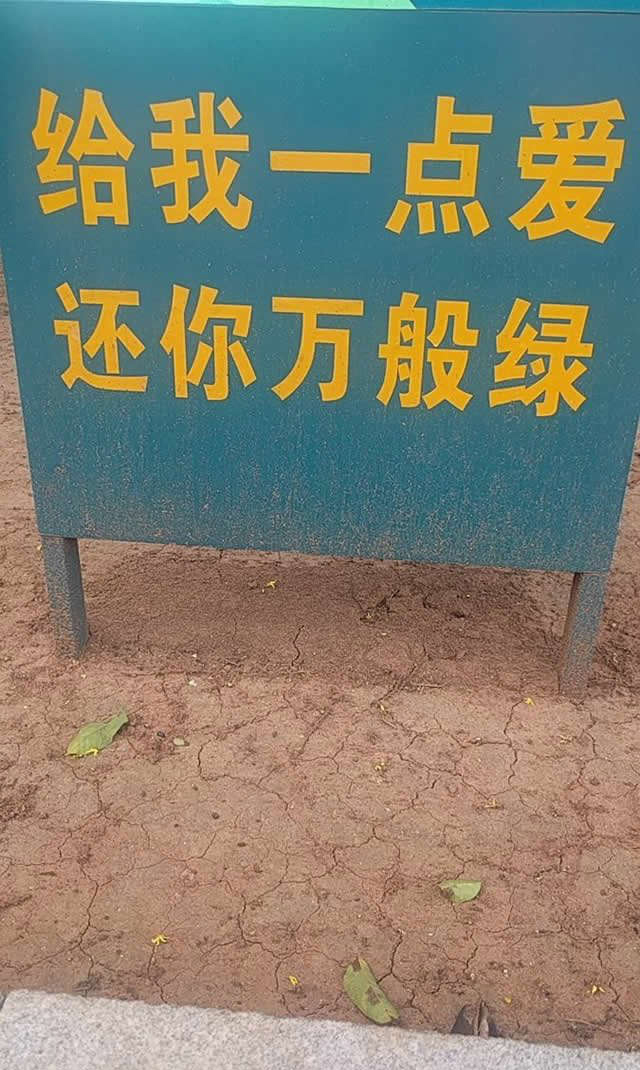 段子十则第十六期,段子十则第四十六期