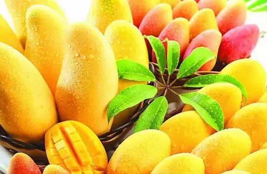 各个身体部位都爱吃哪种水果,哪儿不舒服就吃哪种水果