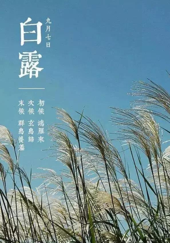 白露重污染天气预报,白露时节气温开始下降