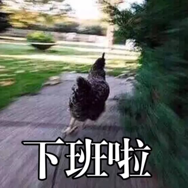 石家庄99%人的上班状态,最后一个说到心坎里了!